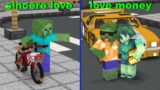 Monster School : Poor Zombie Boy loves a Zombie Girl love money (love story) – Minecraft Animation