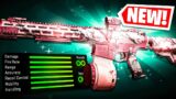 *NEW* "2 SHOT" TEMPUS TORRENT DMR is BROKEN on Ashika Island! (DMR ZONE RETURNS) – Warzone 2