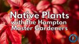 Native Plants with the Hampton Master Gardeners