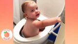 Naughty Baby Doing Hilarious Things – Cute Trouble Maker || Cool Peachy
