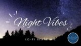 Night Vibes: Lo-Fi Beats Mix vol.2
