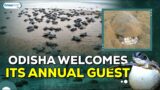 Odisha welcomes it's annual guest