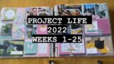 PROJECT LIFE 2022 Flip Through (Week1-25)