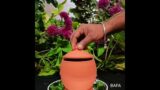 Plain terracotta Curd Pot