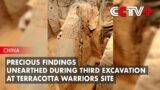 Precious Findings Unearthed During Third Excavation at Terracotta Warriors Site