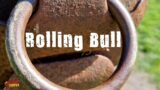 Rolling Bull