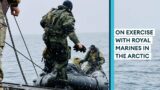 Royal Marines train for HUGE NATO exercise in Norway