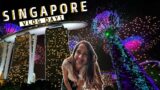 SINGAPORE TRAVEL VLOG | DAY 1 | Kaya Toast, Jewel, Gardens by the bay, Hainanese Chicken and more