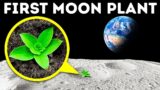 Scientists Grow Plants in Moon Soil + Amazing Plant Facts You Never Knew