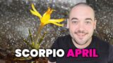 Scorpio You Are Ready For This Reward From the Universe! April 2023