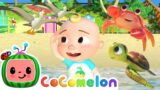 Sea Animal Song | Cocomelon | Kids Song | Toddlers cartoon show | Learning video