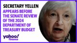 Secretary Yellen appears before the Senate review of the 2024 Department of Treasury budget