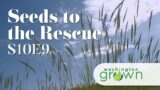 Seeds to the Rescue | Washington Grown | S10E8