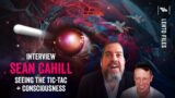 Seeing the TIC-TAC UFO, Near Death Experiences and Consciousness w/Sean Cahill