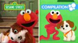 Sesame Street: Celebrate Puppy Day with Elmo & Tango | 1 Hour Compilation