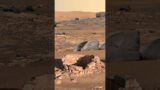 Sign Of Life On Mars | Mars Latest Video | Mars Perseverance Rover Found Life on Mars #shorts #mars