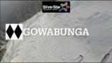 Silver Star: Gowabunga (First Tracks)