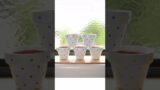 Spotted Terracotta Pots- My Etsy Shop (AnelleCreates)