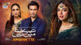 Tere Bina Mein Nahi Episode 13 | 21st March 2023 (English Subtitles) | ARY Digital