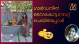 Terracotta gardening idea's | malayalam|  mummy and me |