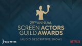 The 29th Annual Screen Actors Guild Awards (Audio descriptive show)