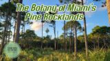 The Botany of Miami's Pine Rocklands & Hardwood Hammocks