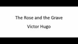 The Rose and the Grave – Victor Hugo