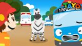 The Zebra Escaped | Tayo Animal Rescue Team | Rescue Team Episodes | Tayo the Little Bus