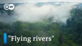 The waters of the Amazon | DW Documentary