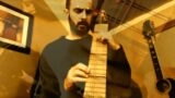 They Move On Tracks of Never-Ending Light – One-man band cover with Chapman Stick.