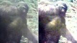 This Ranch Owner Receives A Message From His Trail Camera Telling Him That Something is Watching Him