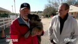 To The Rescue TV Show Featured Light Up To Live & Service Dogs