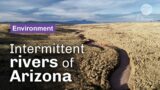 To the rescue of Arizona's waterways | CNRS in English