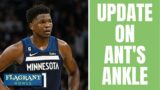 Updates on Anthony Edwards and Karl-Anthony Towns injuries – Flagrant Howls