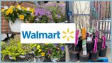 WALMART SPRING INVENTORY | APPLE TREES CRABAPPLE TREES HANGING PANSIES CANDY TUFF | TERRACOTTA POTS