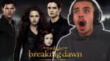 WTF is going on in *Twilight: Breaking Dawn Part 2* First time watching