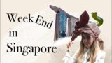 Weekend in Singapore 2023 | Vlog | City center, otters, Marina Bay, Night Safari, Gardens by the Bay