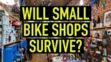 Will Small Bike Shops Survive the Bike BUST?