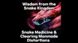 Wisdom from the Snake Kingdom – Snake Medicine & Clearing Manmade Distortions