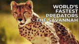 World's Fastest Predators | Episode 2: The Savannah | Free Documentary Nature