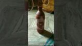 #bottleArt # Terracotta #myWork #viral