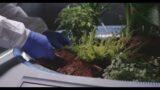 scientist planting seedlings on a mars base riicomp