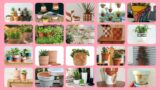 top wounerful terracotta pots design// small garden pots ideas// #decorlife #interiors #smallpots