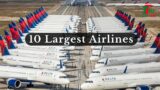 10 Largest Airlines in the World by Fleet Size 2023