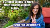 2 Critical Things you MUST Know When Growing Vegetables, or Else/Grow Your Groceries w/ CaliKim #3