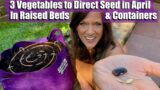 3 Vegetables to Direct Seed in April in Containers & Raised Beds