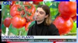 'I'm reducing animal and plant suffering by adopting a plant-based diet' | Vegan activist Ed Winters