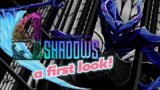 9 YEARS OF SHADOWS / A First Look!