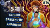 9 Years of Shadows #14 | Obere Quartiere Teil 2 [Lets Play Deutsch]