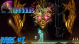 9 Years of Shadows – Part 7: Mask of Andros Boss Fight + Acquiring the Gaia Armor!